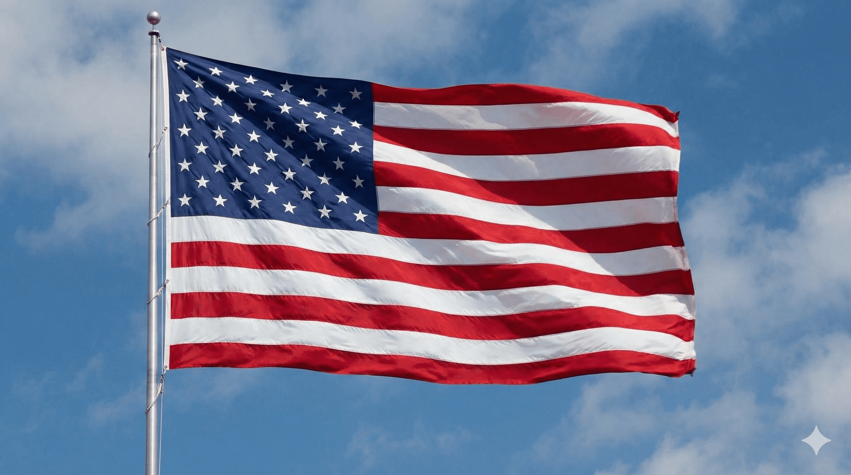 Immigration Law Background